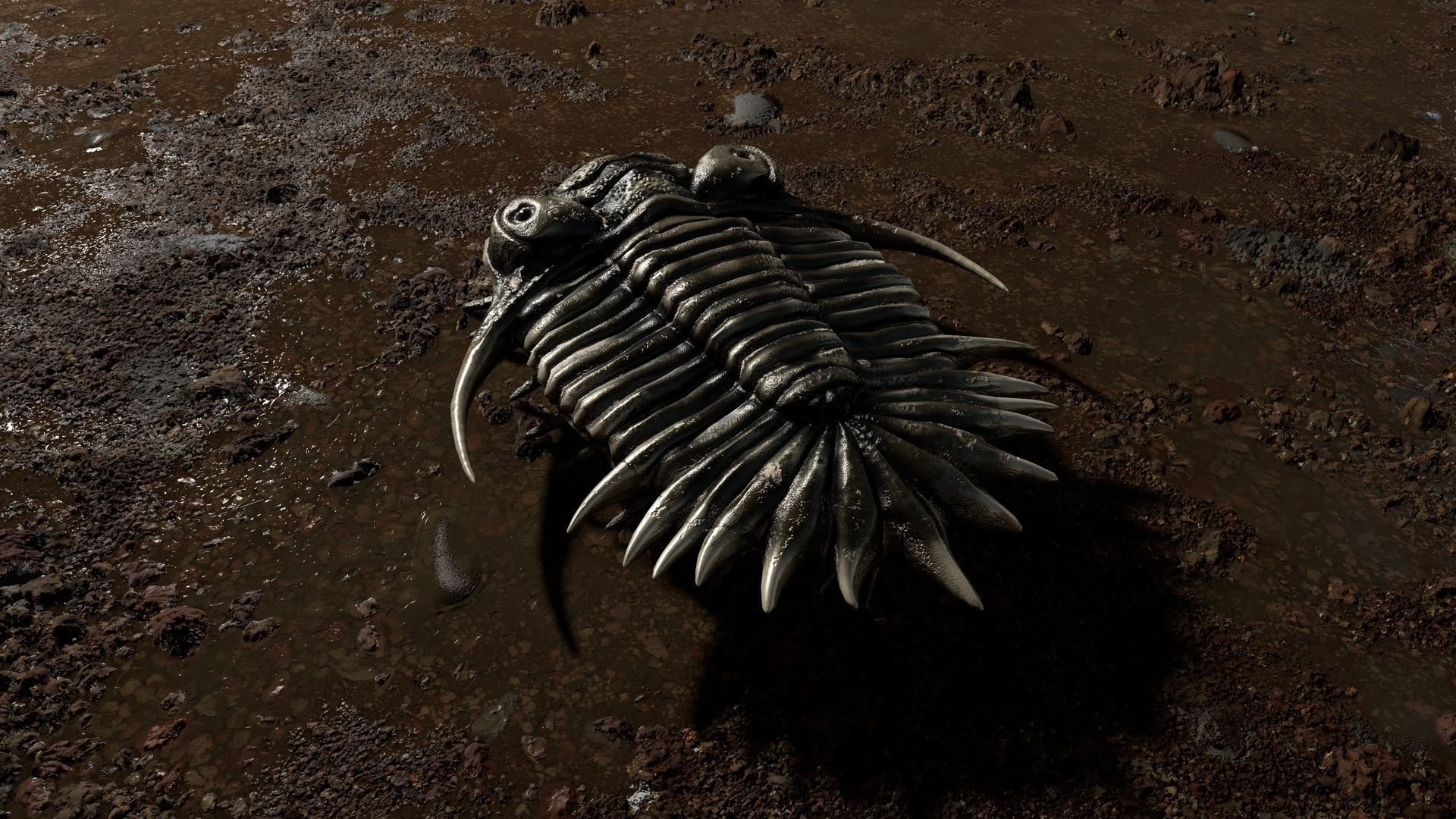 Trilobite 04 - KAYSEROPS Low-poly 3D model_5