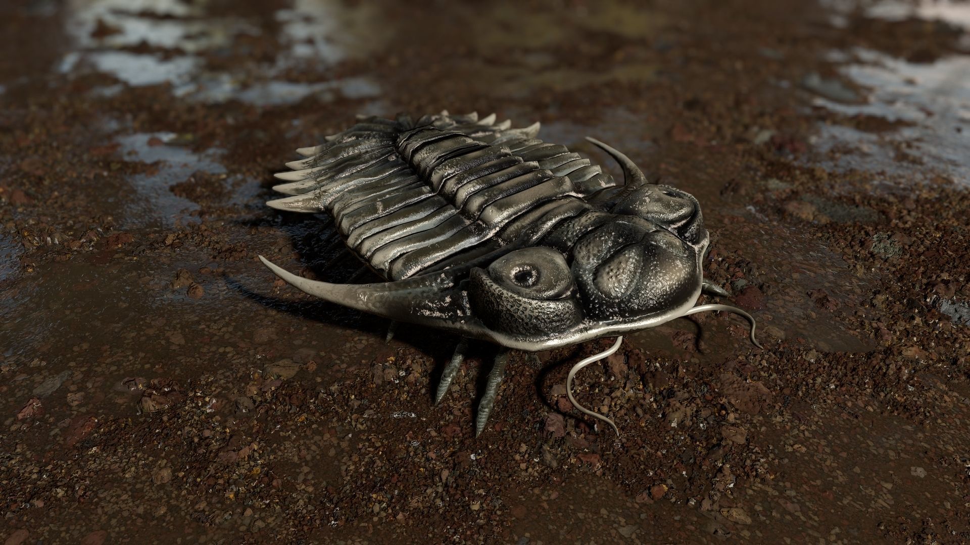 Trilobite 04 - KAYSEROPS Low-poly 3D model_3