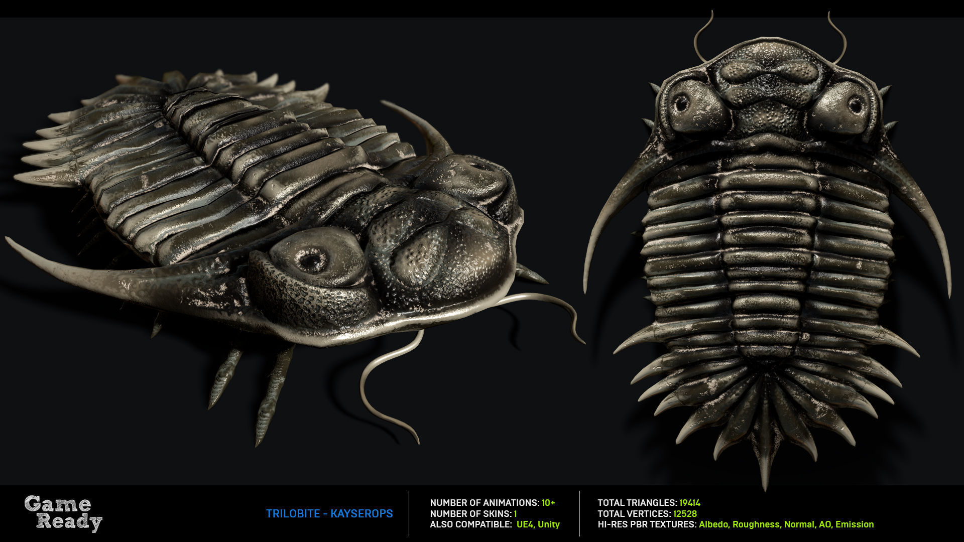 Trilobite 04 - KAYSEROPS Low-poly 3D model_2