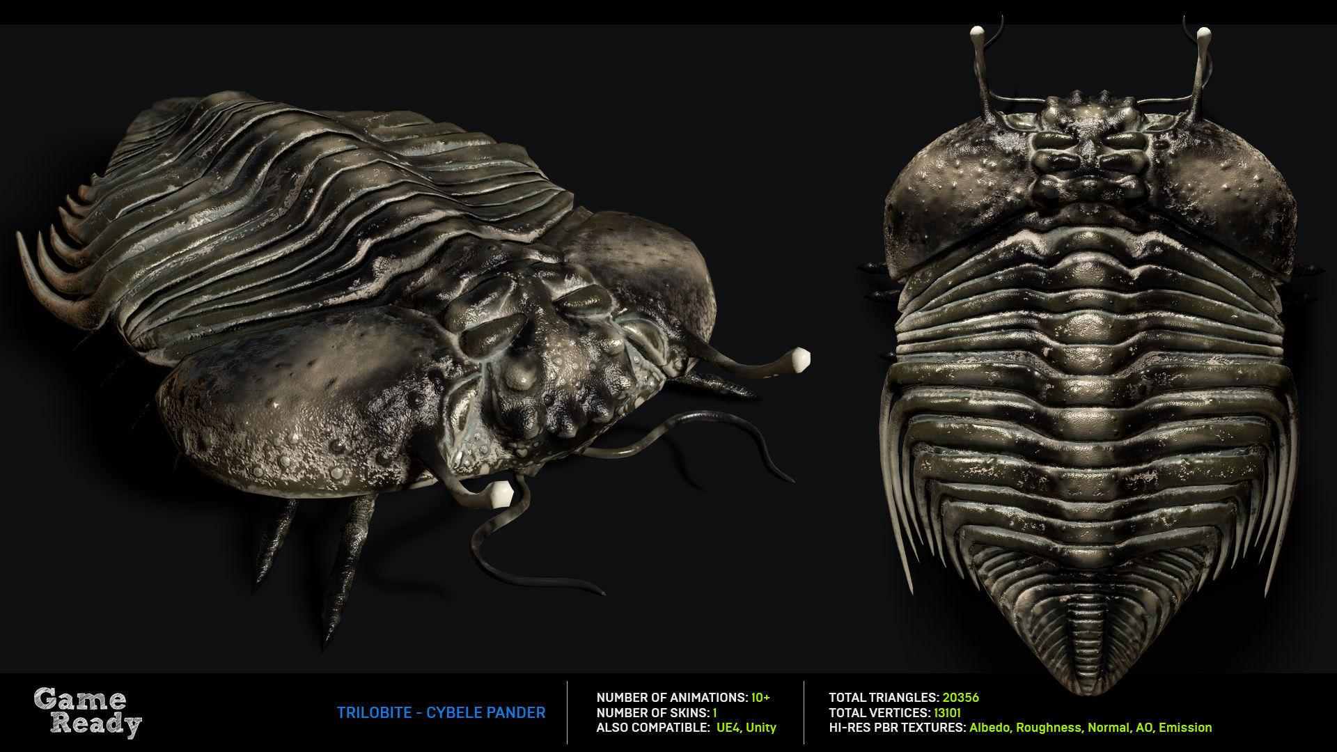 Trilobite 06 - CYBELE PANDER Low-poly 3D model_2