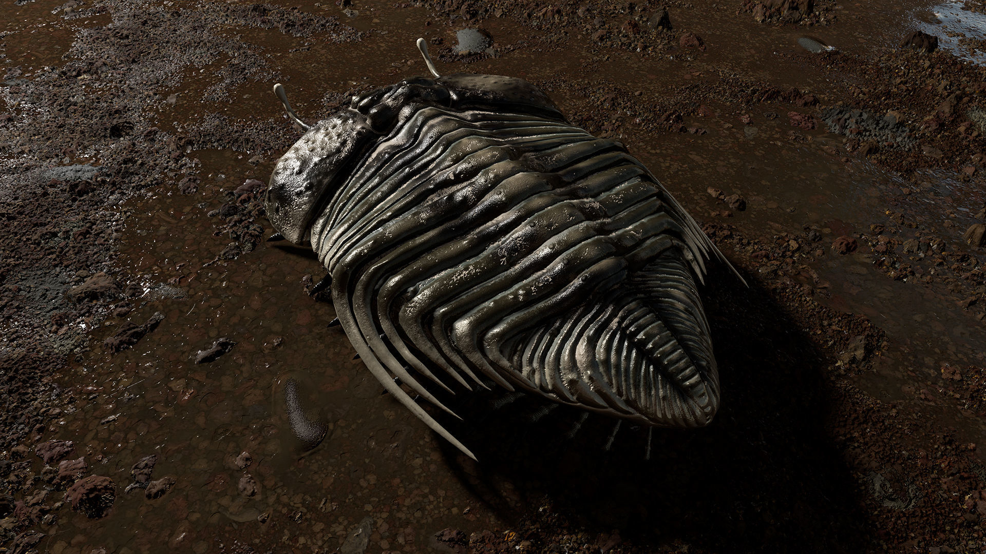 Trilobite 06 - CYBELE PANDER Low-poly 3D model_5