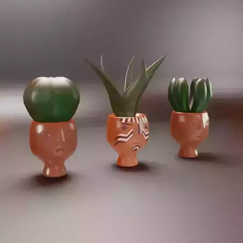 cactus in painted flower pots