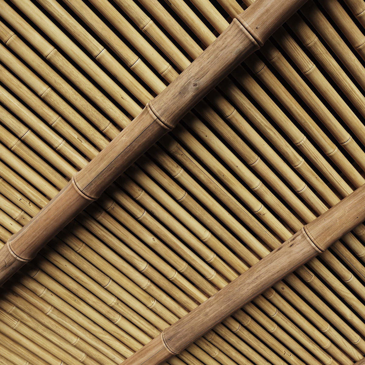 Ceiling bamboo angle n1 3D model_1