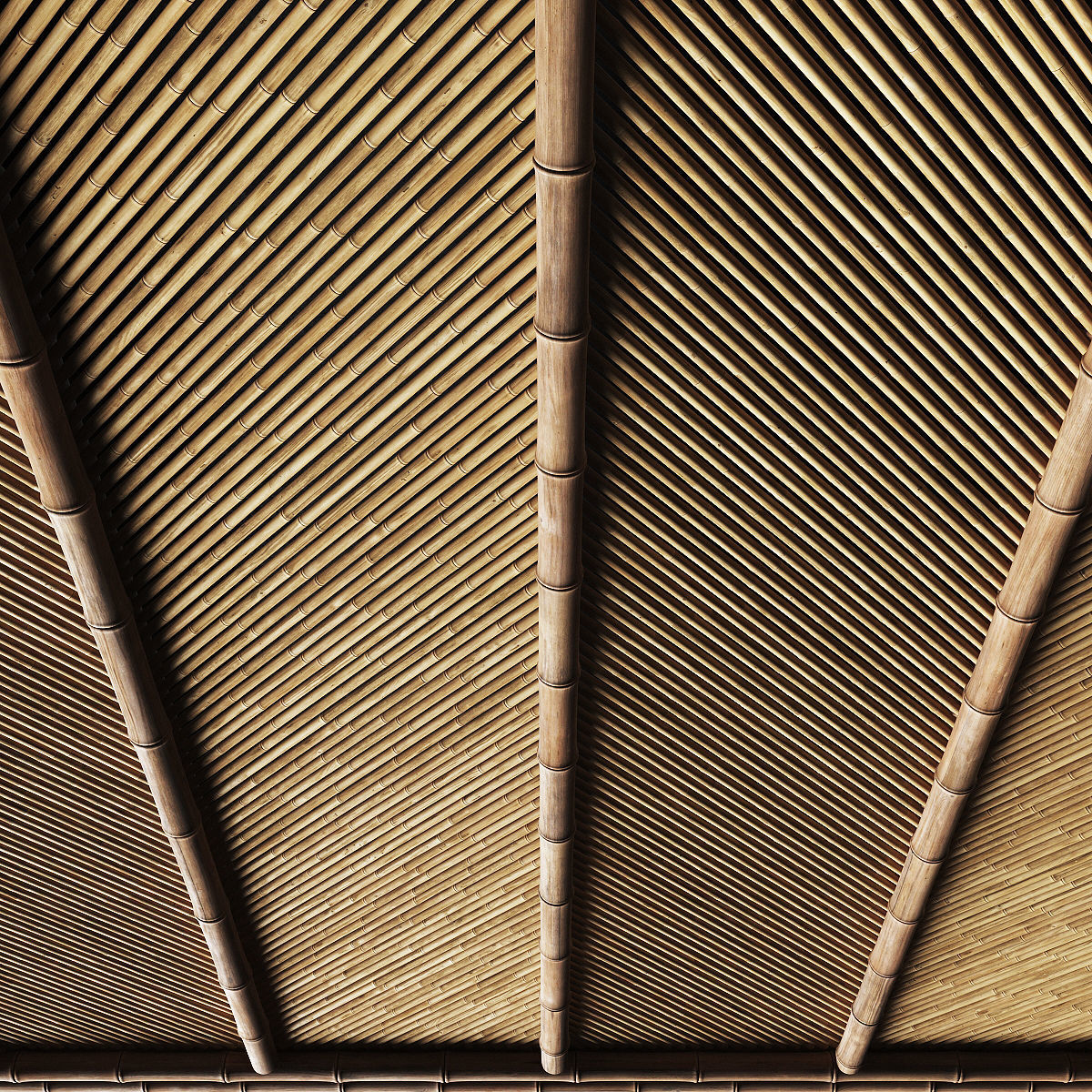 Ceiling bamboo angle n1 3D model_12