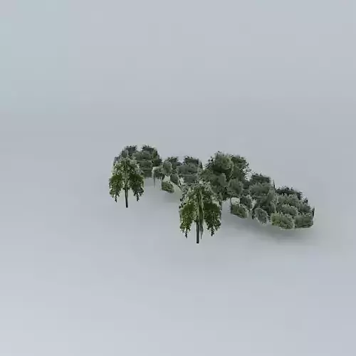 Street trees Minas Gerais