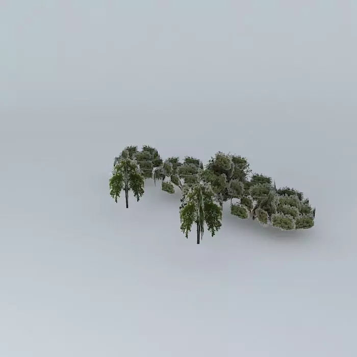 Street trees Minas Gerais Free 3D model_0