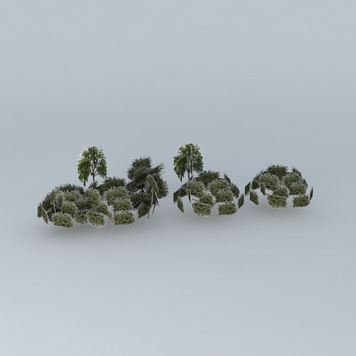 Street trees Minas Gerais Free 3D model_2