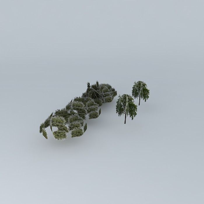 Street trees Minas Gerais Free 3D model_1