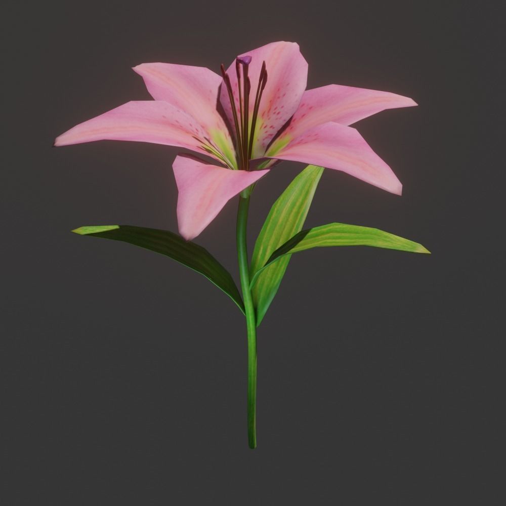 Lily flower 3D model_4