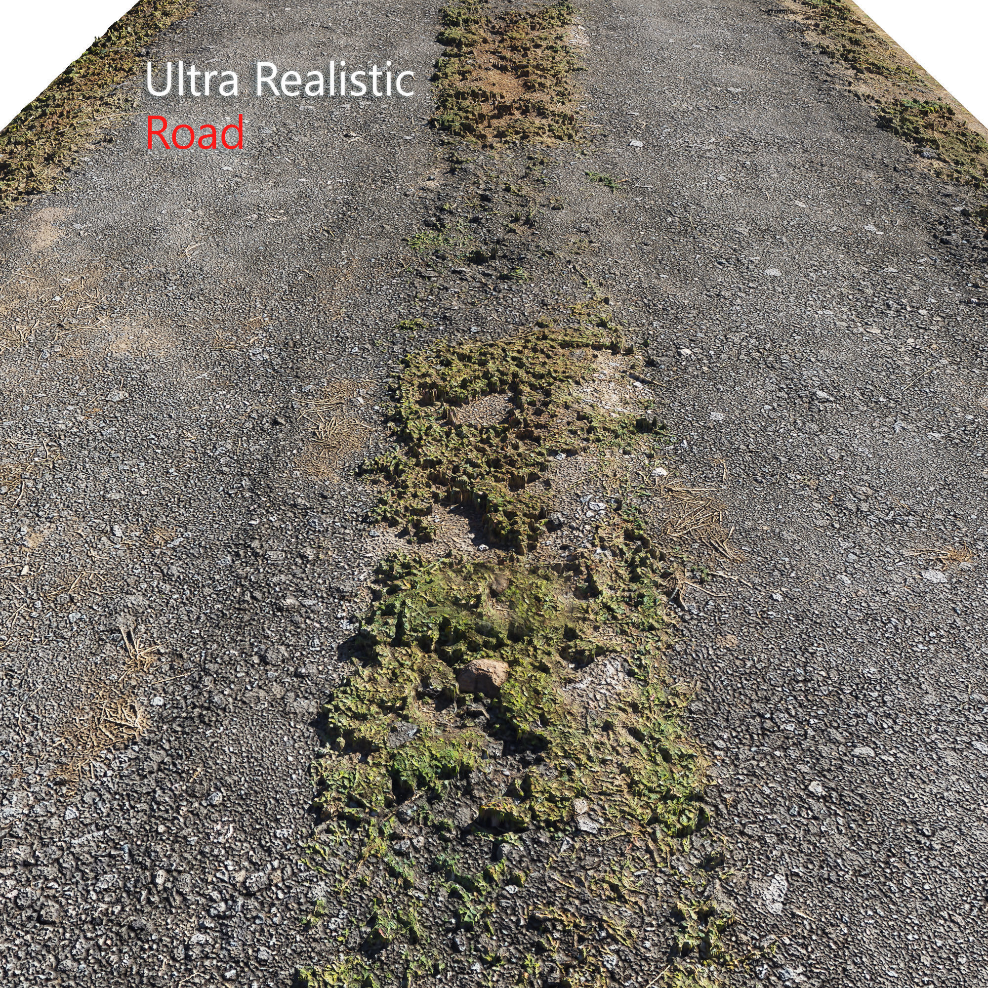 Ultra realistic Road Scan 3D model_1
