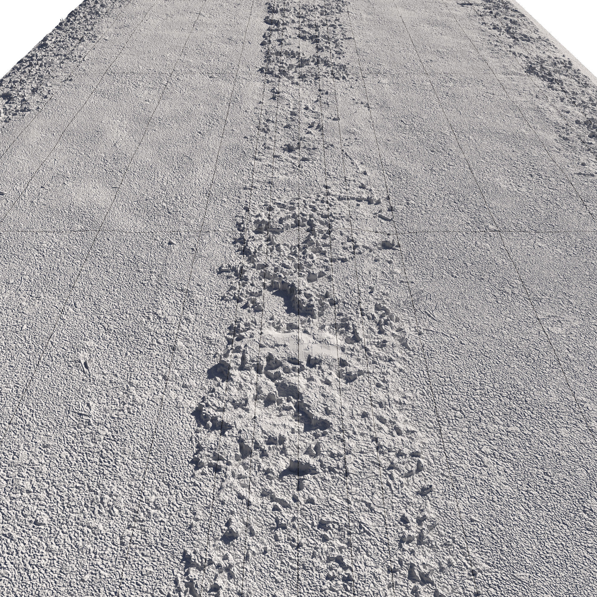 Ultra realistic Road Scan 3D model_4