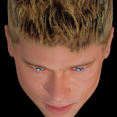 Brad Pitt hair 3D model_3