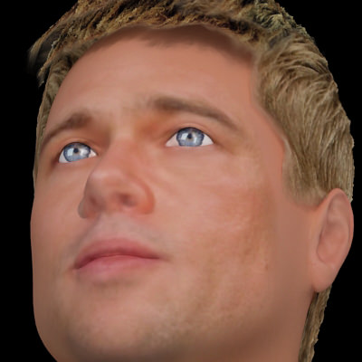 Brad Pitt hair 3D model_4
