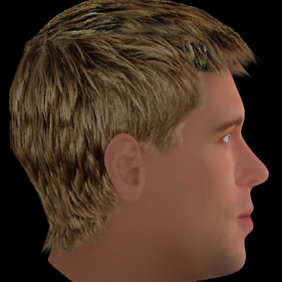 Brad Pitt hair 3D model_2