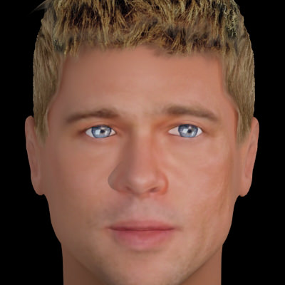 Brad Pitt hair 3D model_1