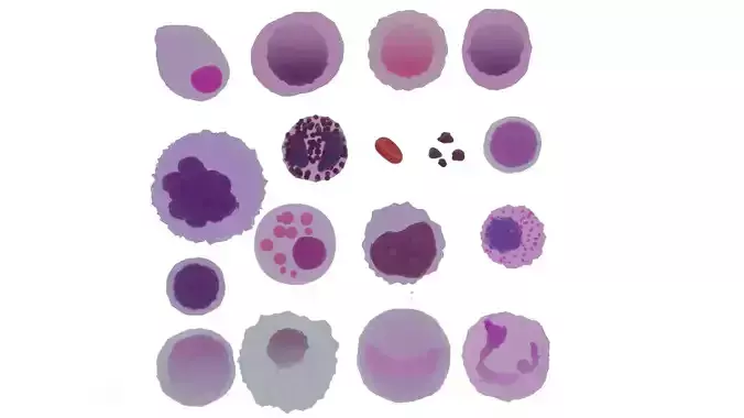 18 Blood cells pack 3D model