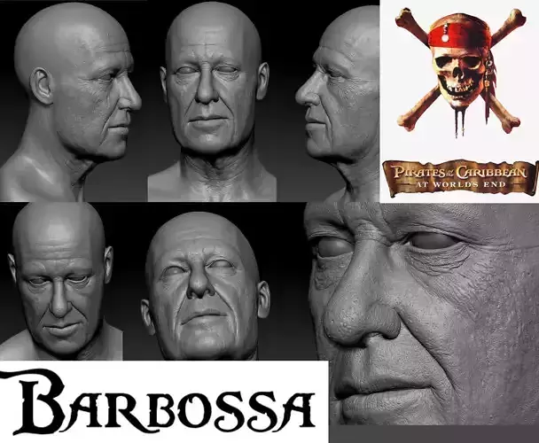 Barbossa head model obj and ztool and displacement maps  3D model