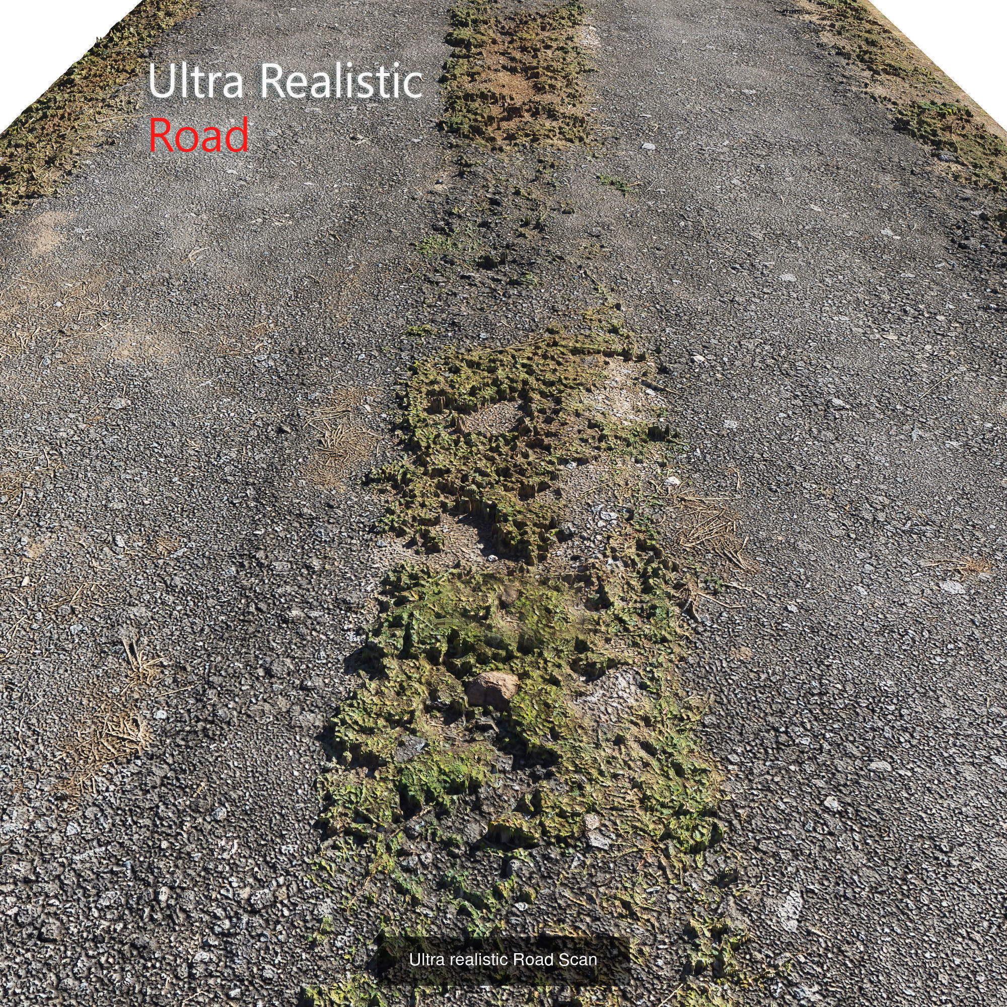 Road collection railroad track with snow _7