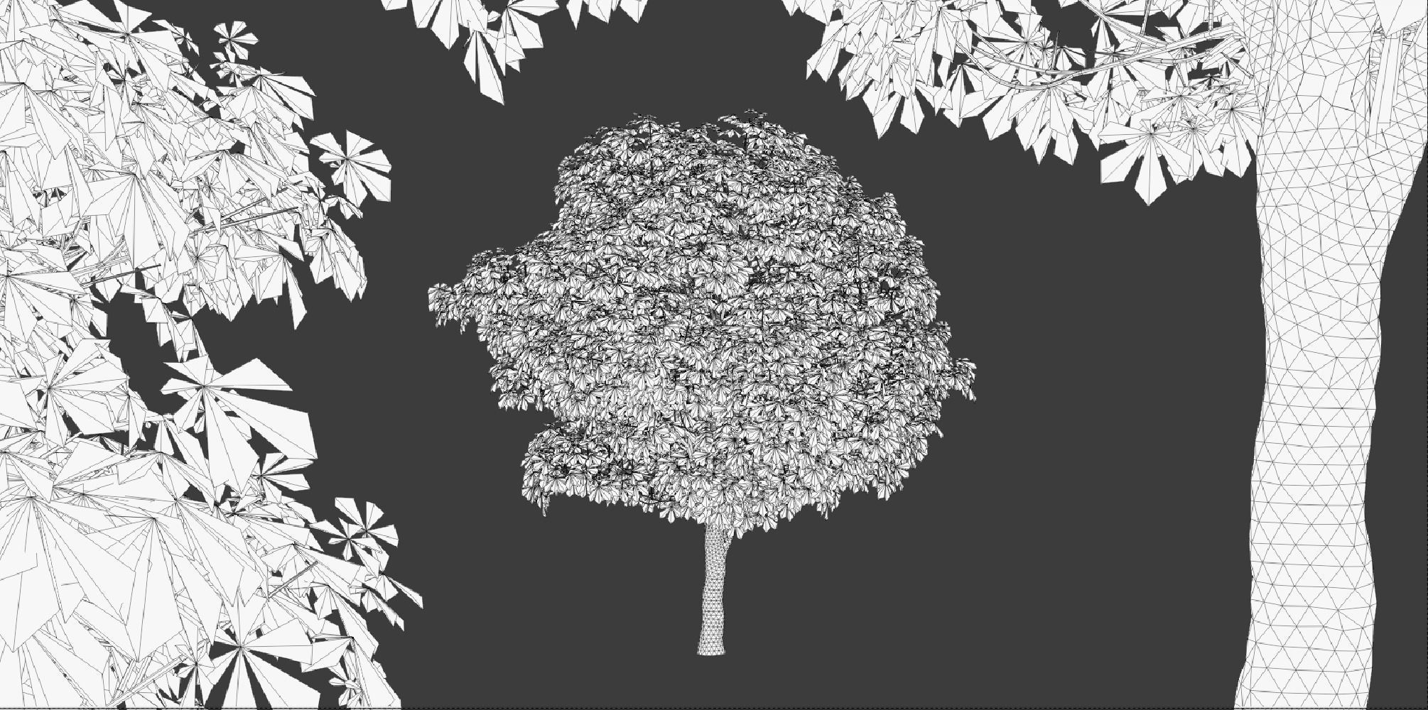 Horse Chestnut Trees 3D model_5