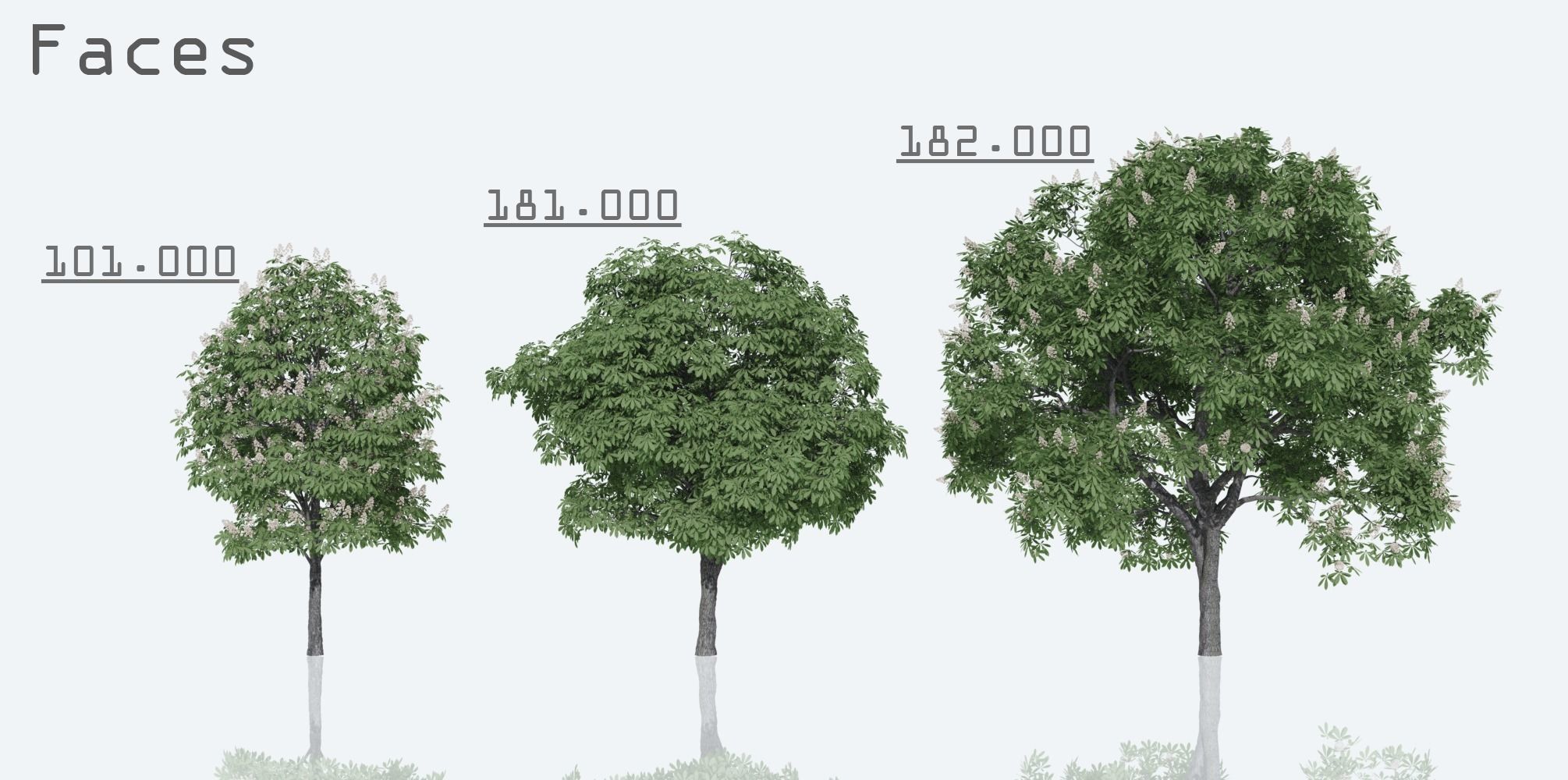 Horse Chestnut Trees 3D model_3