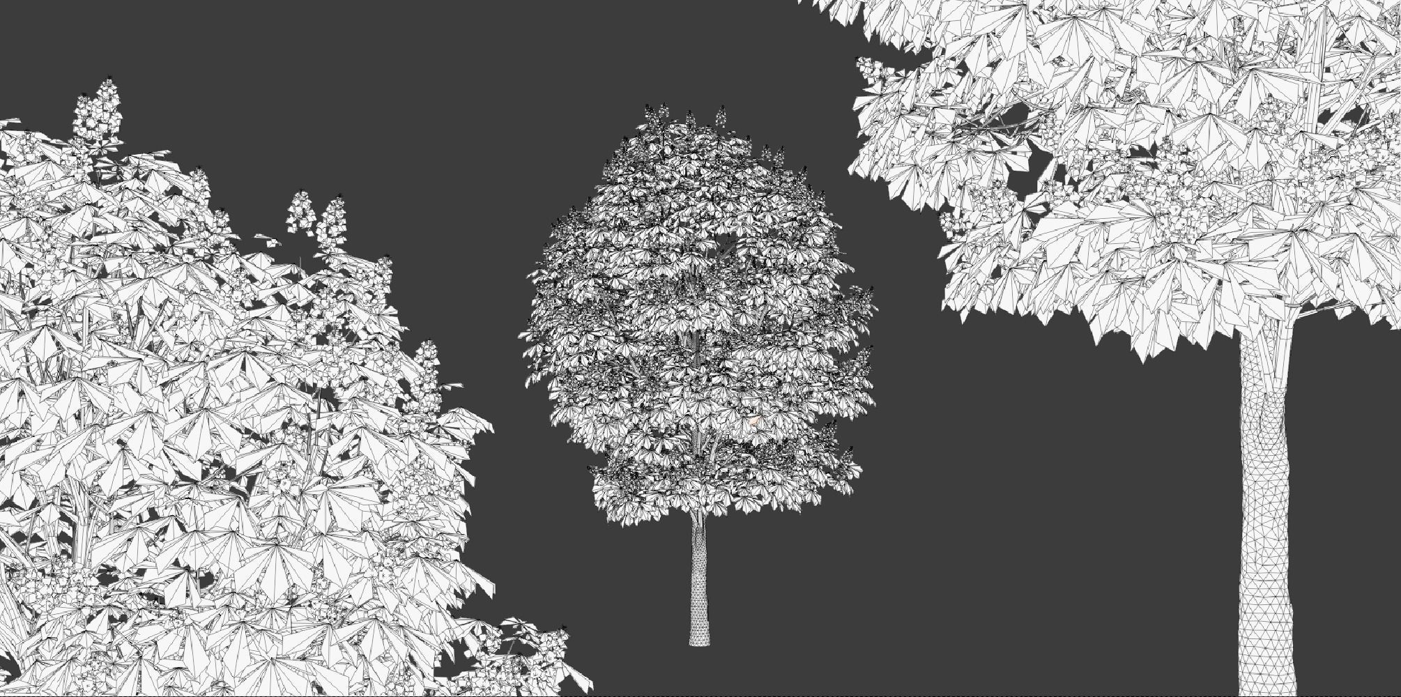 Horse Chestnut Trees 3D model_6