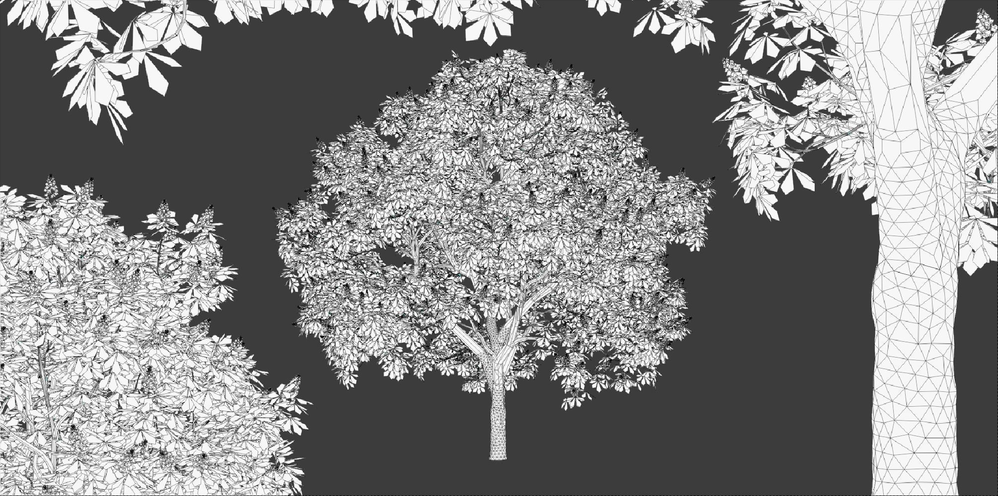 Horse Chestnut Trees 3D model_2
