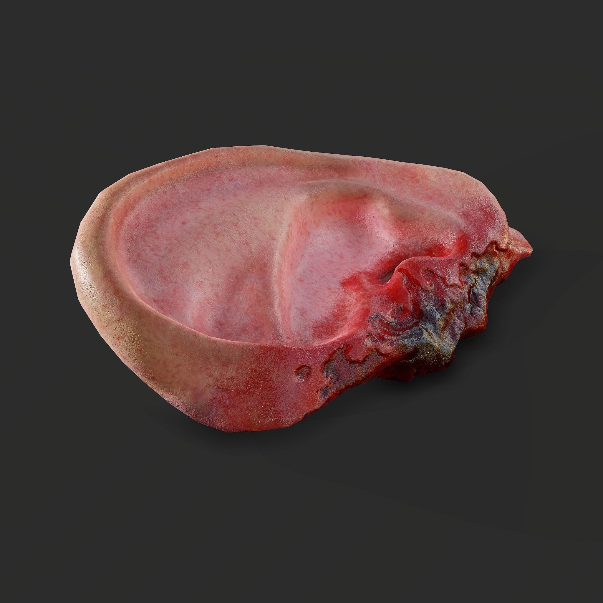 Ear Fake Severed Ear Horror  Low-poly 3D model_5