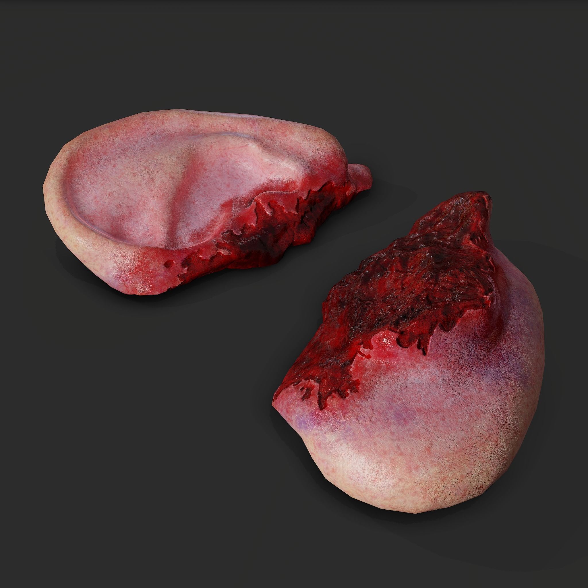 Ear Fake Severed Ear Horror  Low-poly 3D model_13