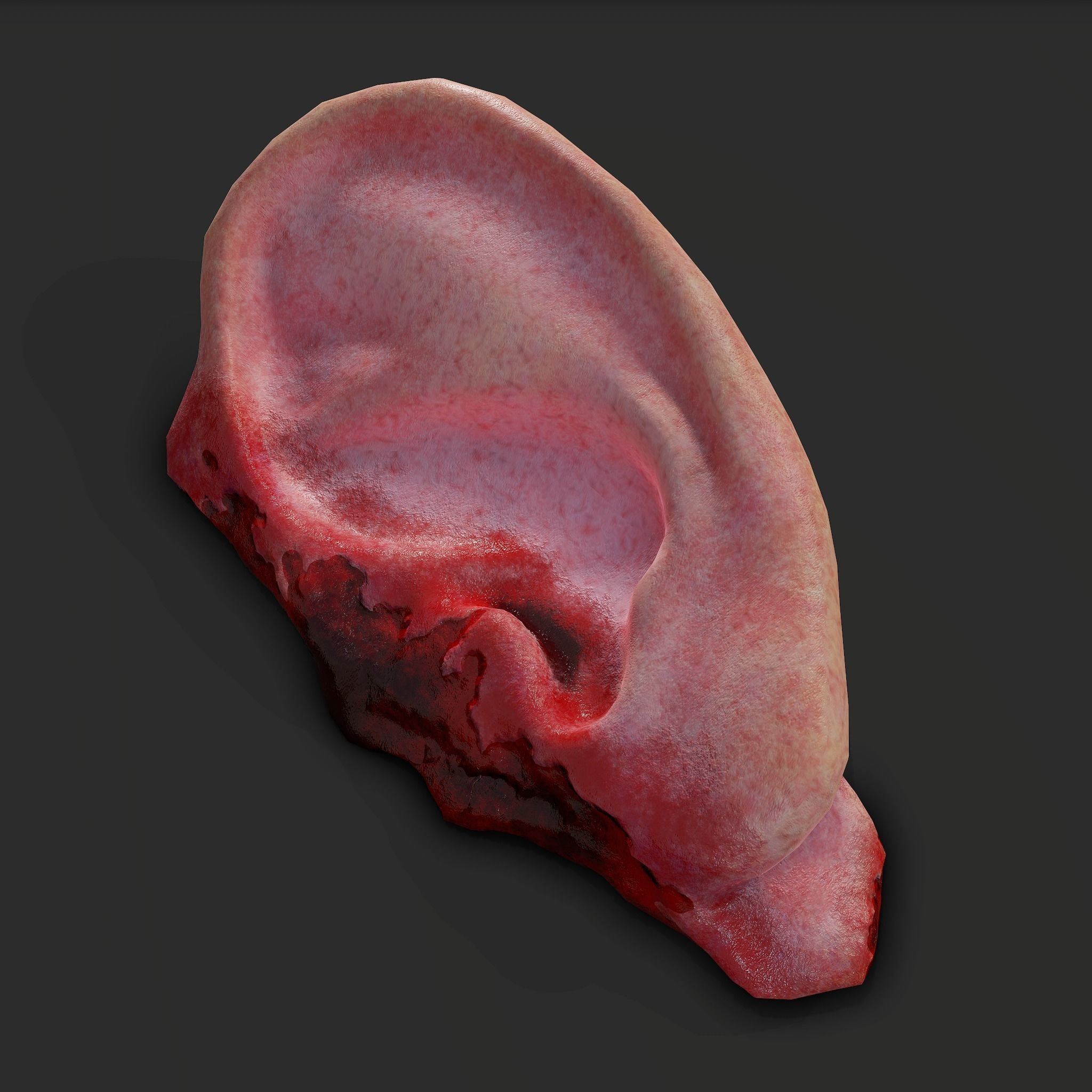 Ear Fake Severed Ear Horror  Low-poly 3D model_27