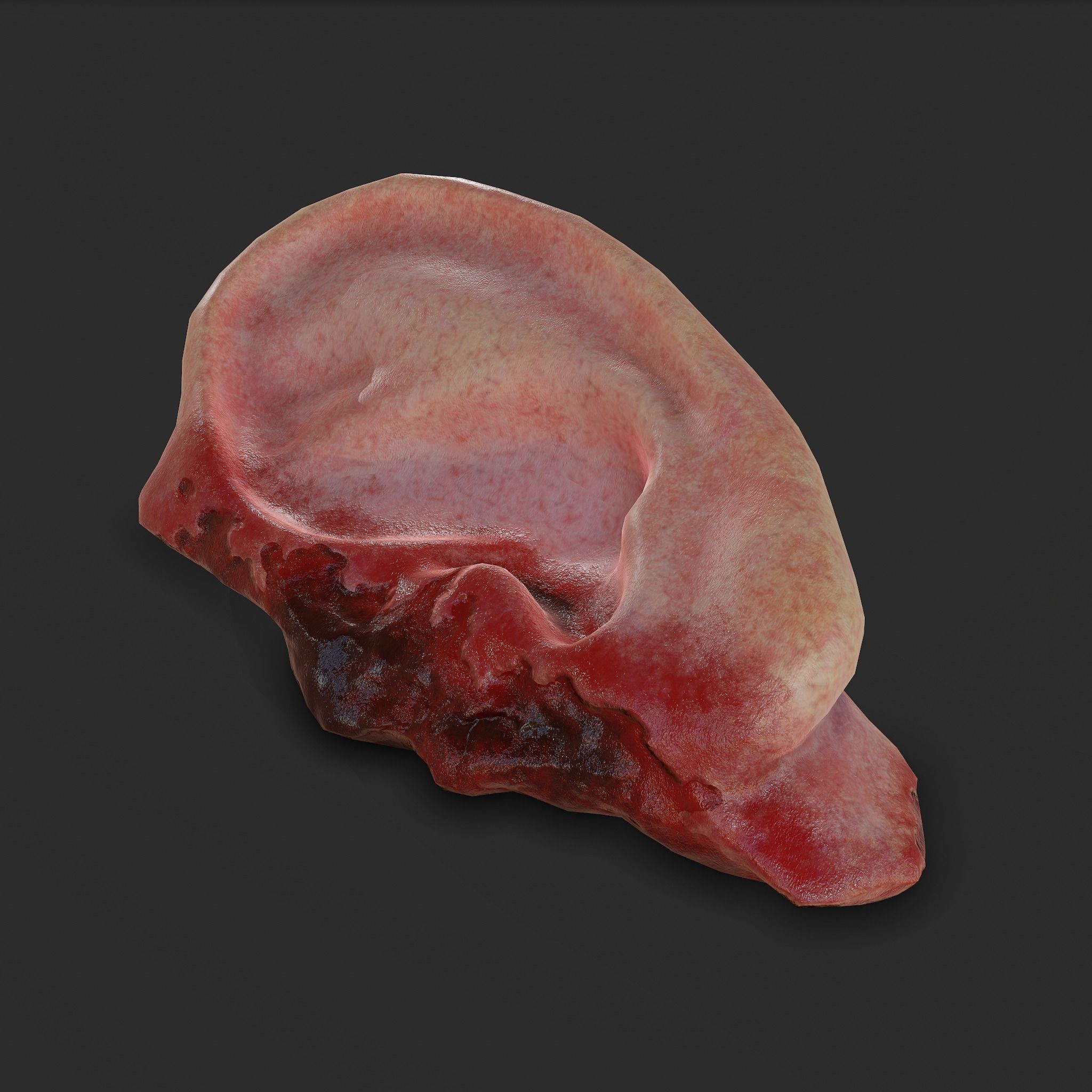 Ear Fake Severed Ear Horror  Low-poly 3D model_17