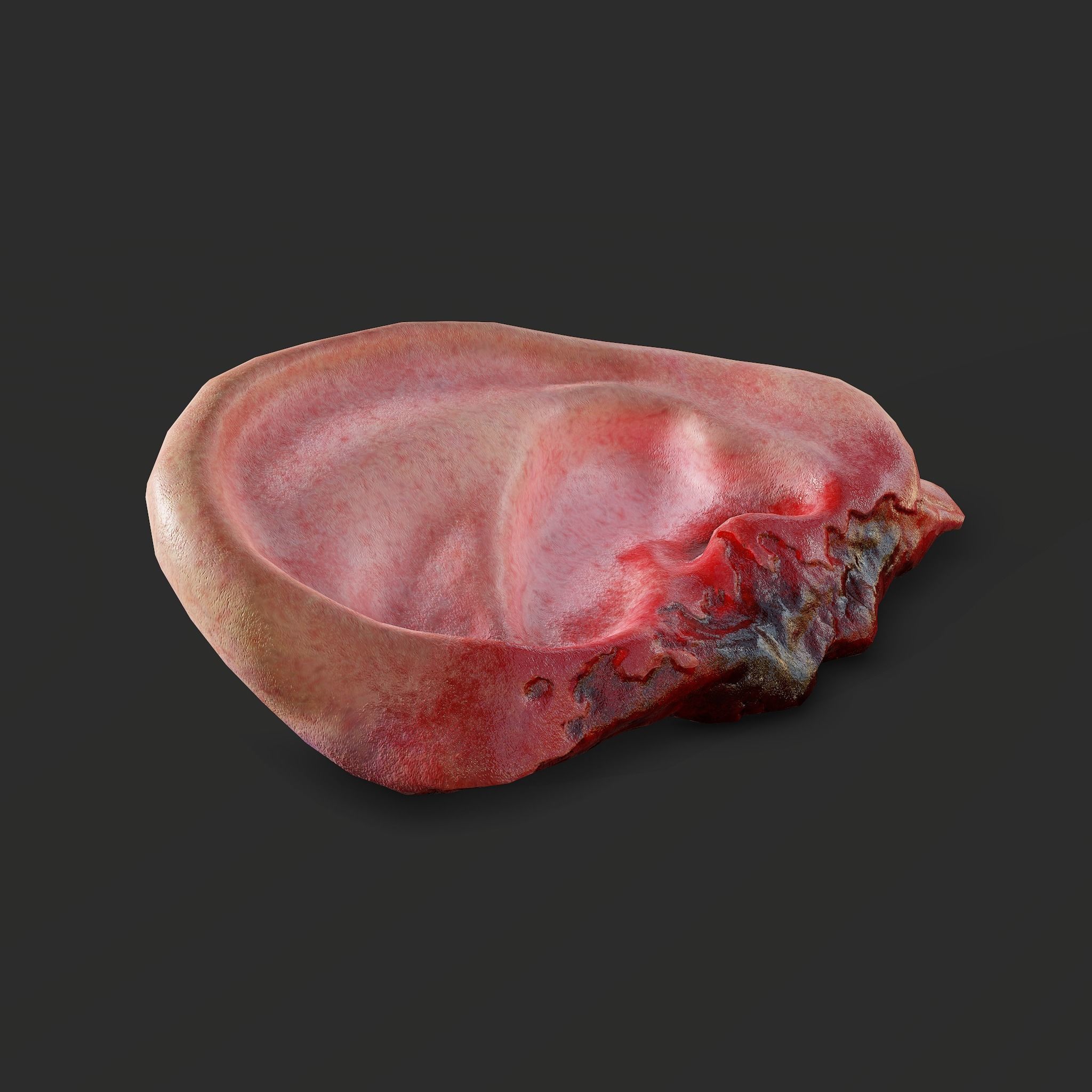Ear Fake Severed Ear Horror  Low-poly 3D model_22