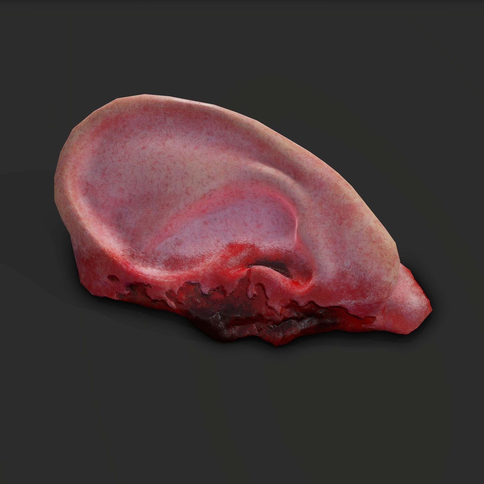 Ear Fake Severed Ear Horror  Low-poly 3D model_28