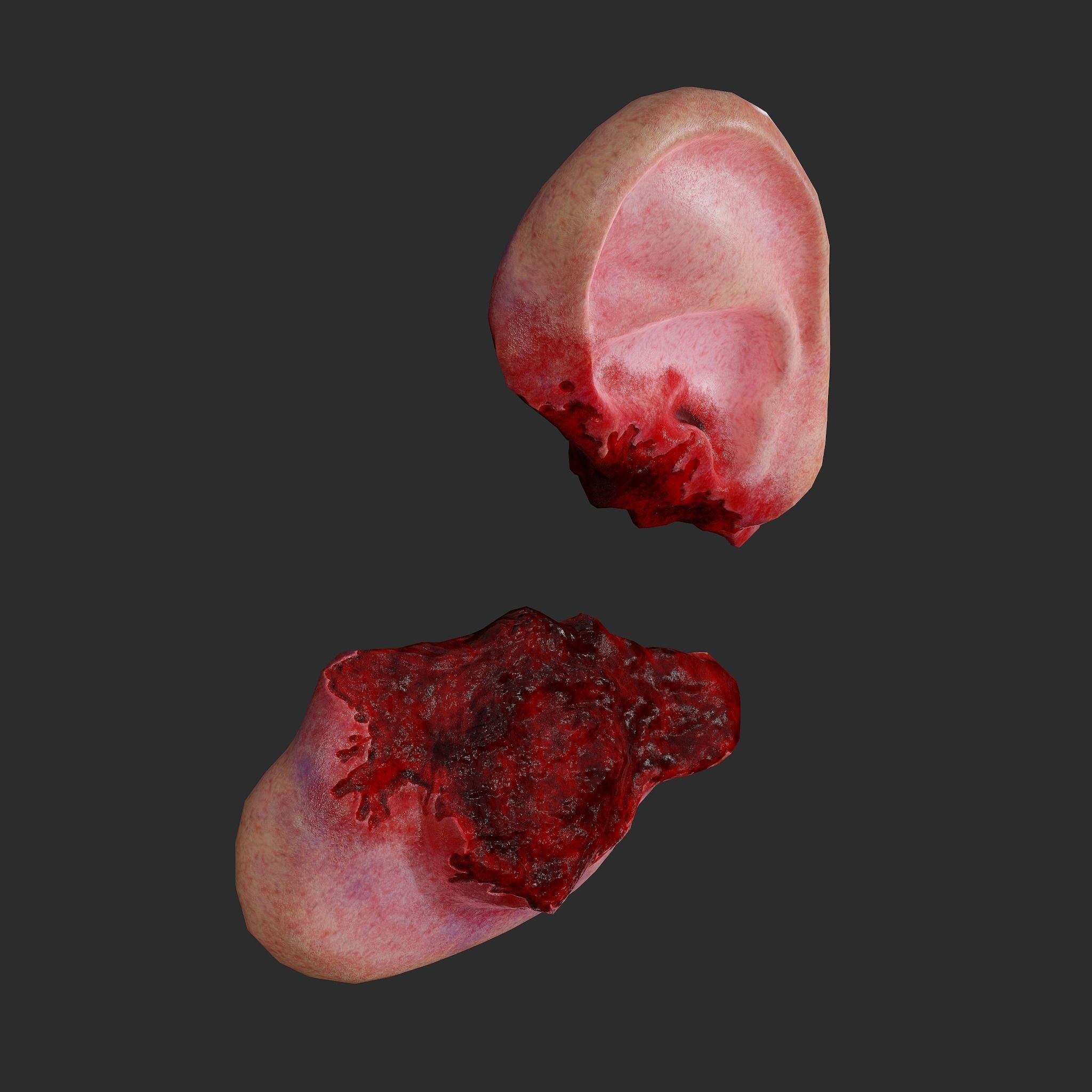 Ear Fake Severed Ear Horror  Low-poly 3D model_16
