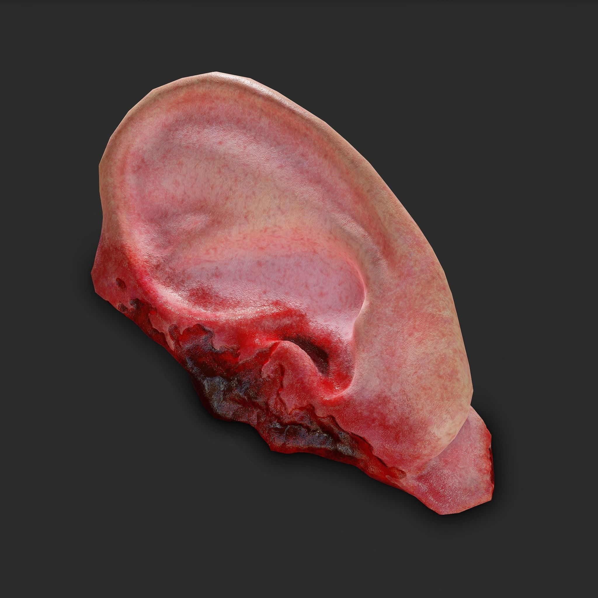 Ear Fake Severed Ear Horror  Low-poly 3D model_11