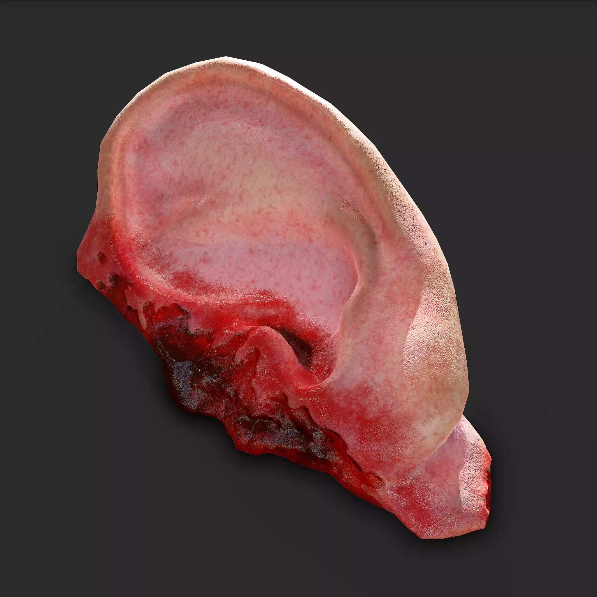 Ear Fake Severed Ear Horror  Low-poly 3D model_0