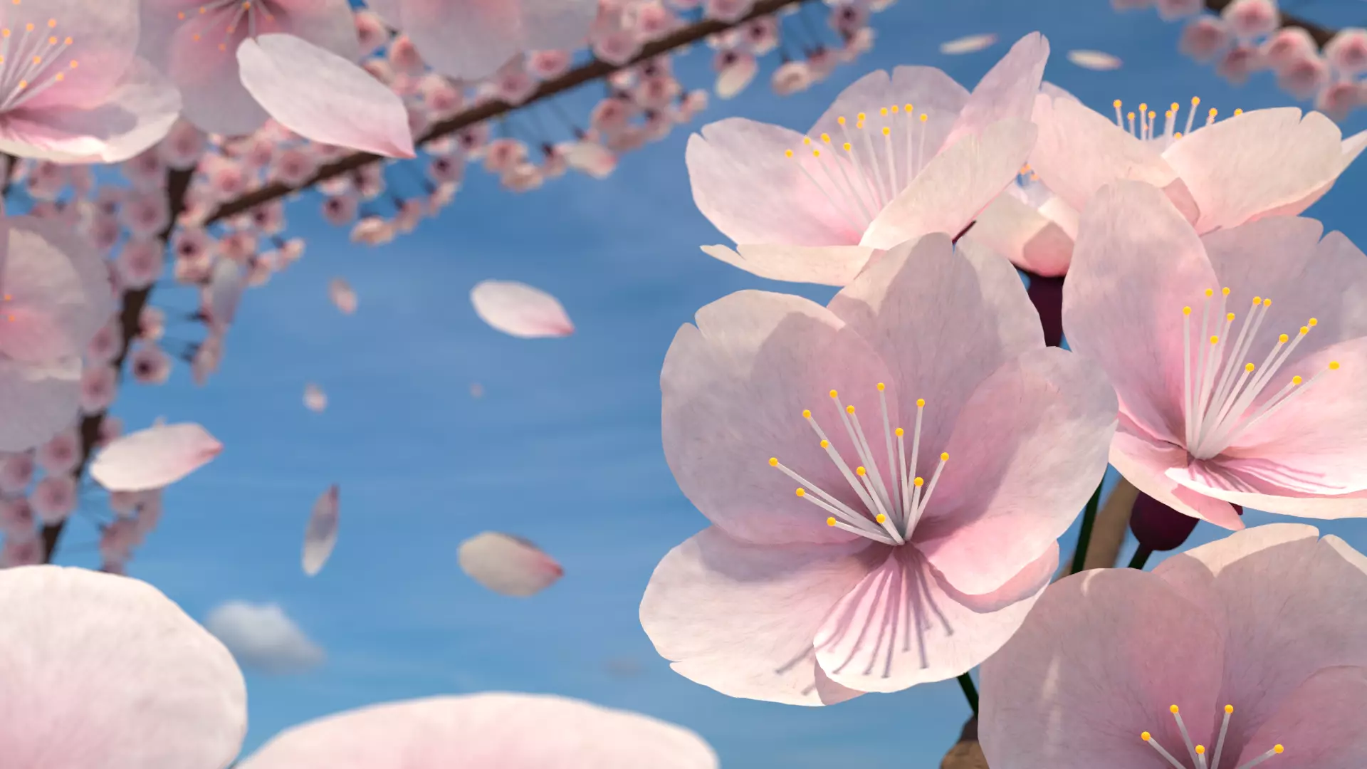 Cherry Blossom Scene 3D model