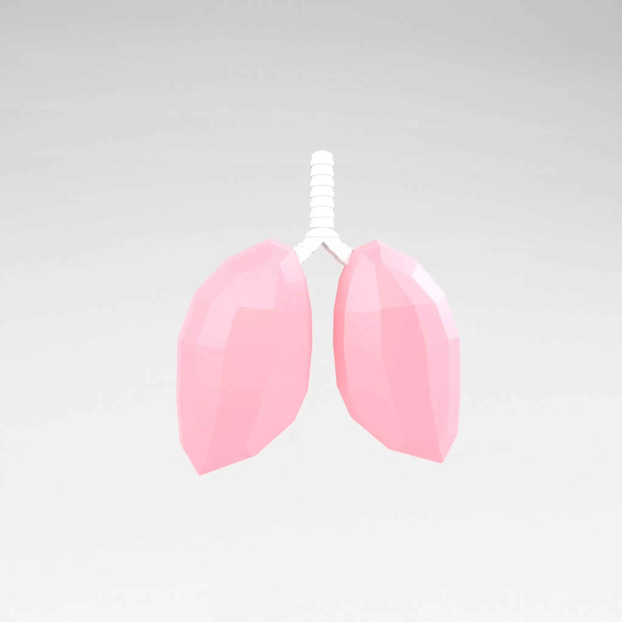 Cartoon Lung v1 001 Low-poly 3D model