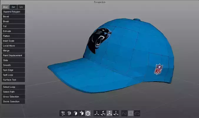 Panthers ball cap