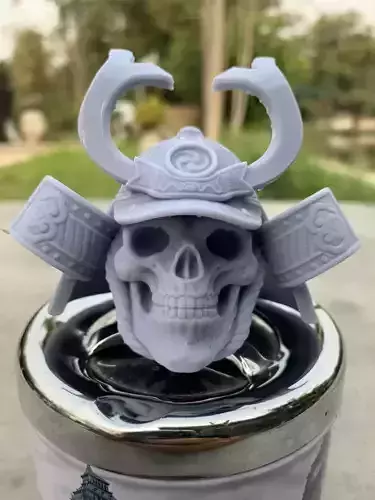  Skull Samurai 