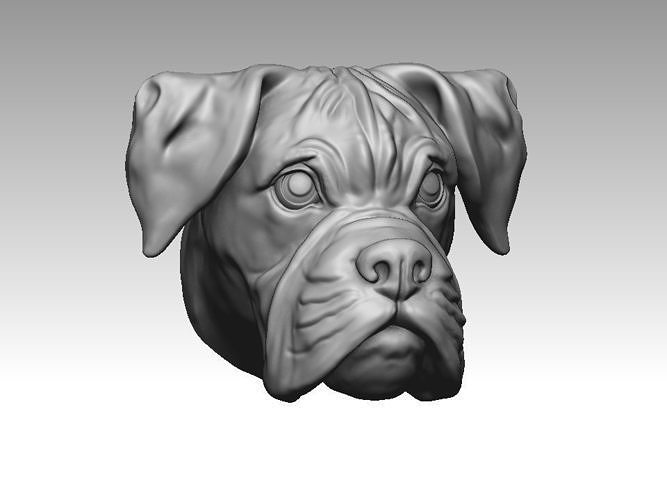 Boxer dog head 3D print model 3D print model