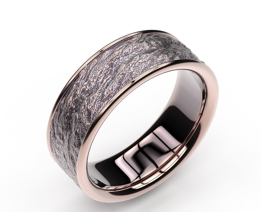 Ring Rock  3D print model_1