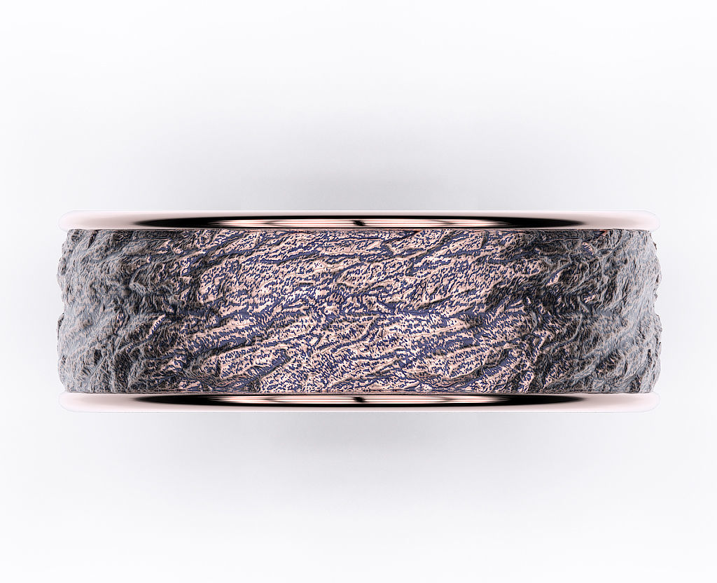 Ring Rock  3D print model_2