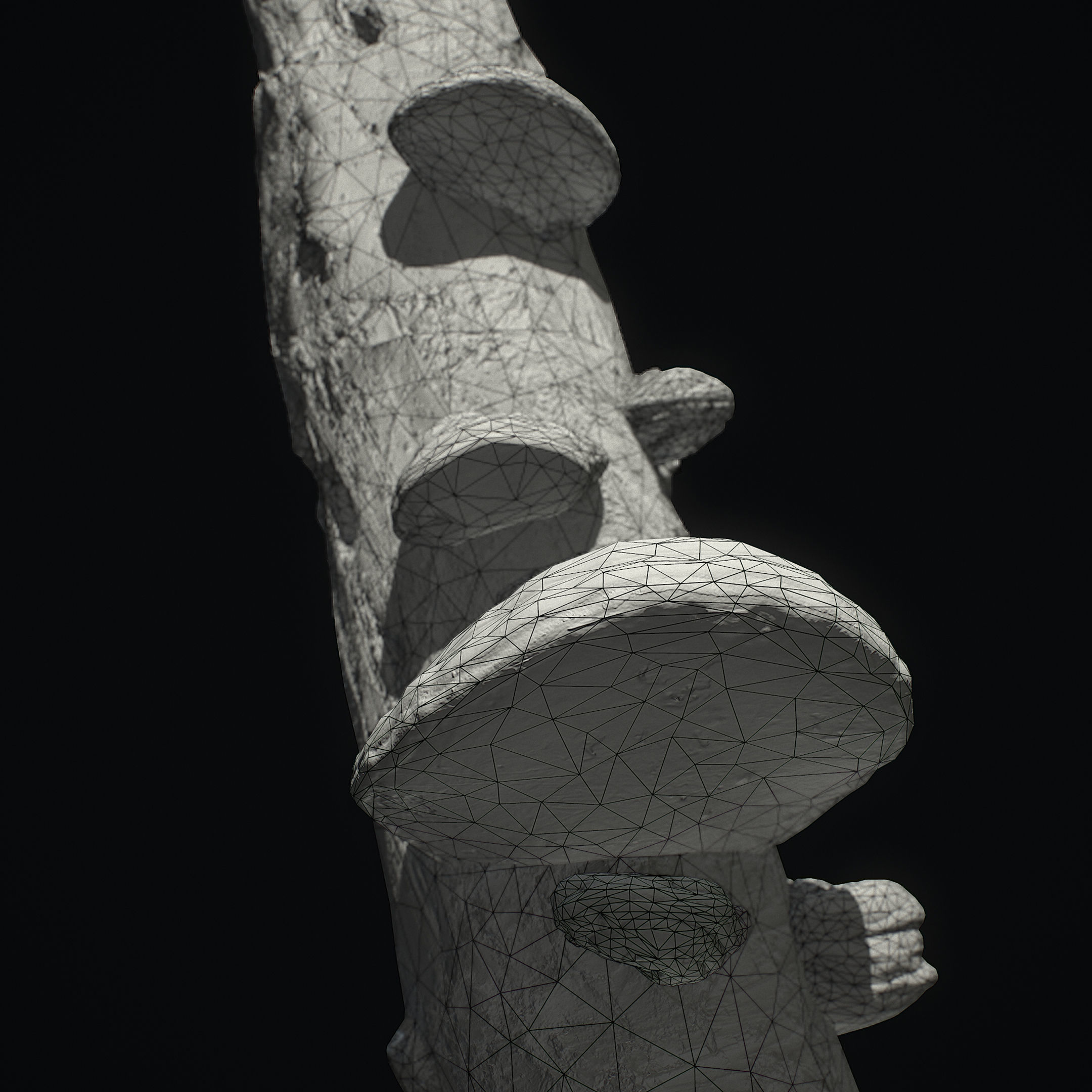 Wood Mushrooms on a Trees - Tinder Polypore Fungus Low-poly 3D model_6