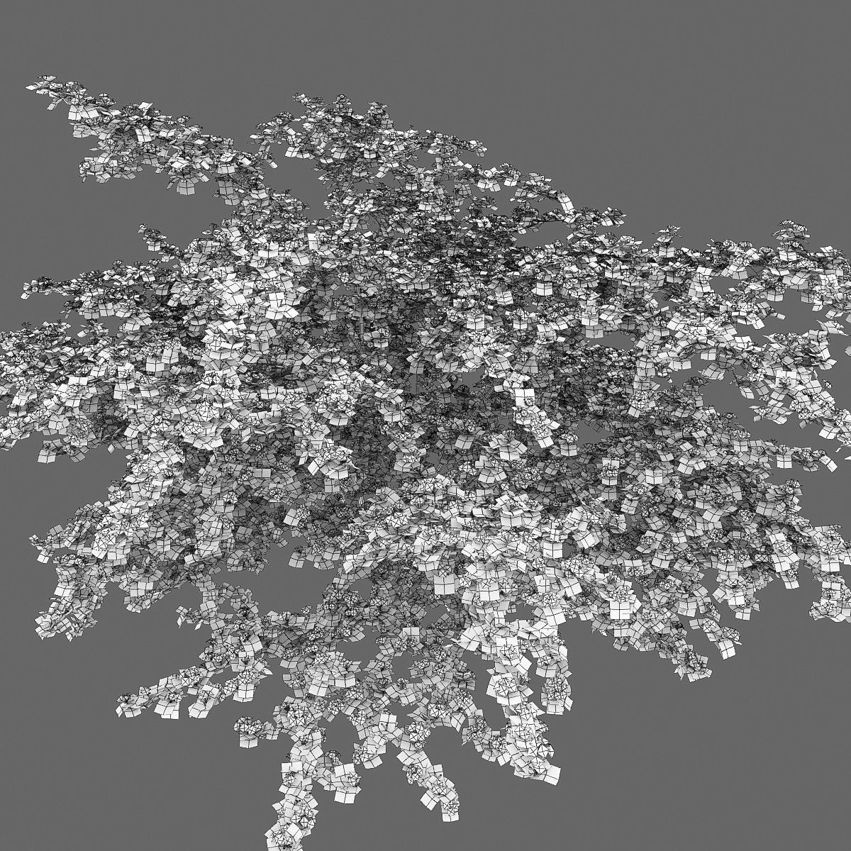 Crataegus Hawthorn flowering 01 3D model_3