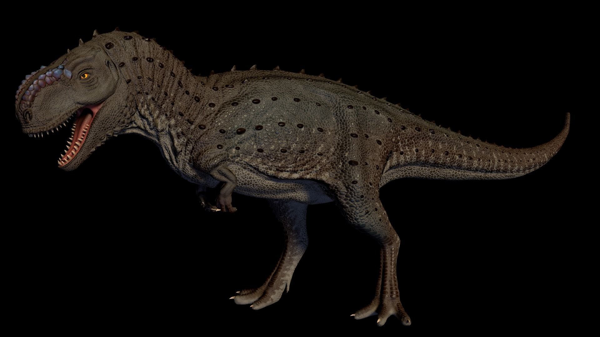 Kryptops t - rex Low-poly 3D model_3