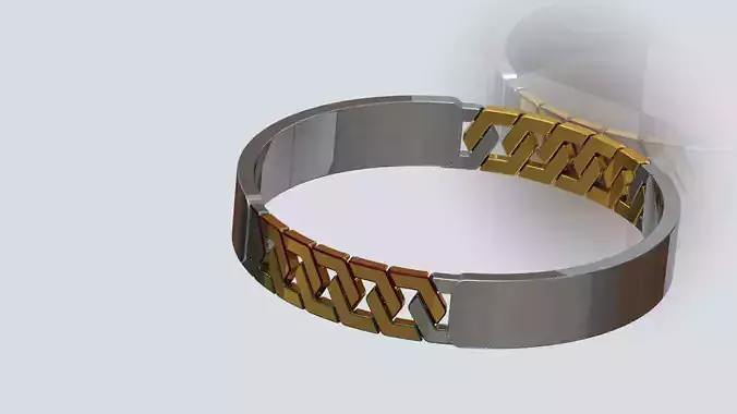 Braclet gold and silver ring