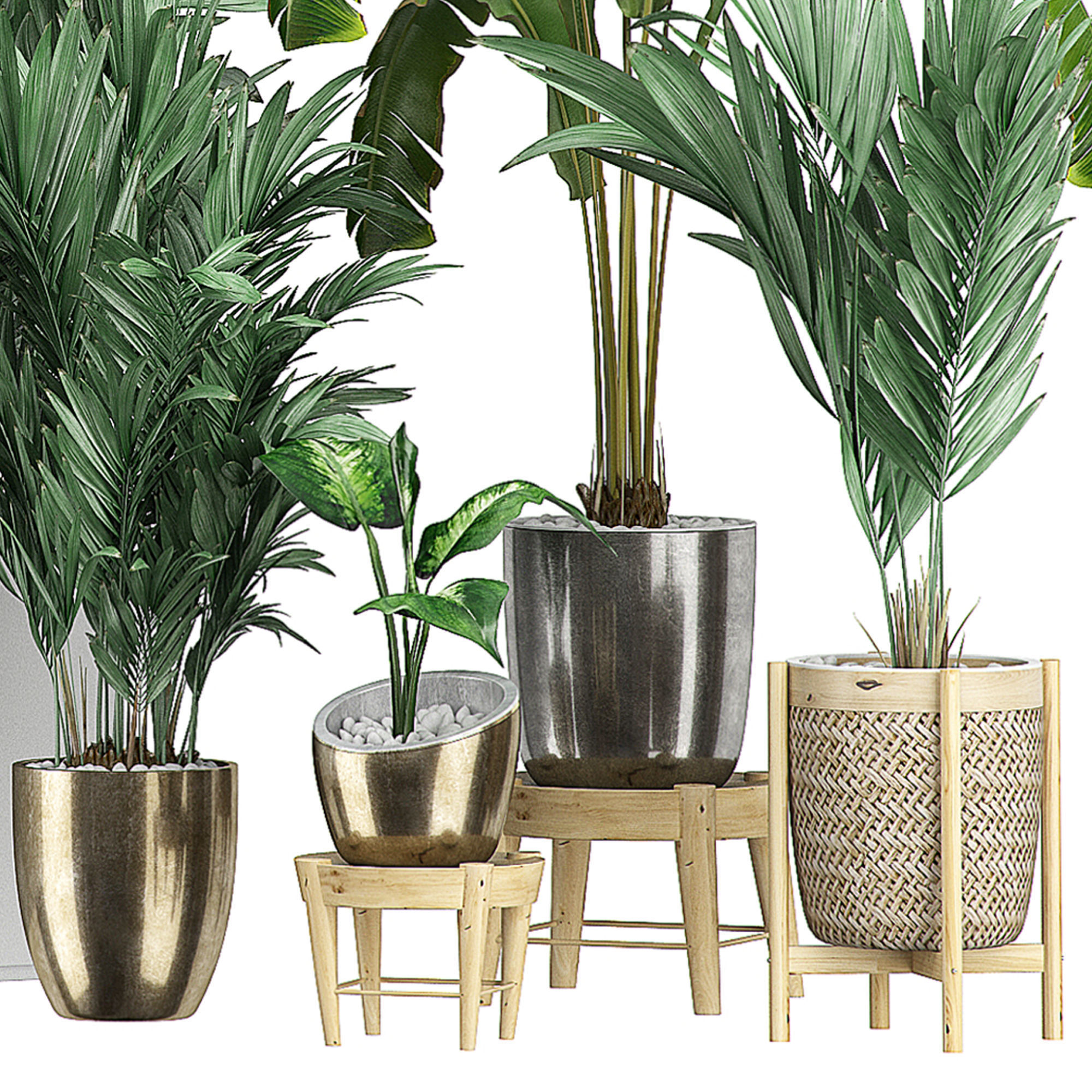 Flower Pack 106 3D model_2