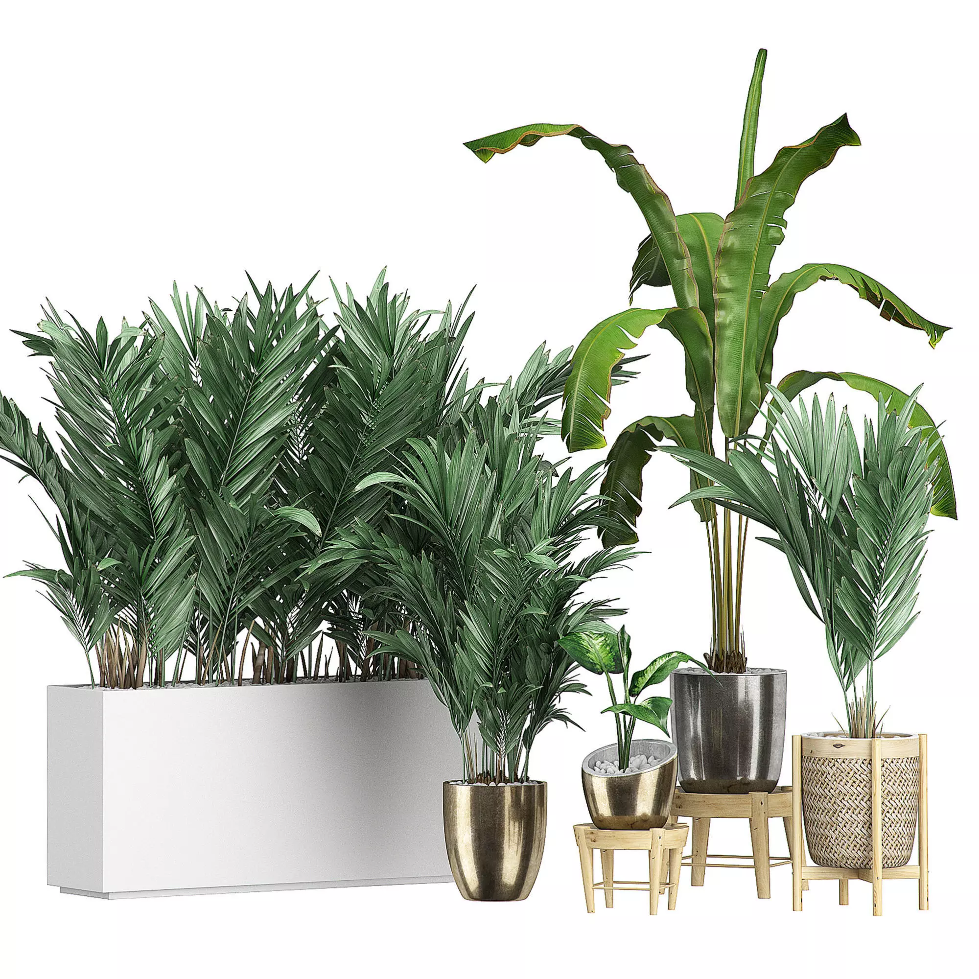 Flower Pack 106 3D model_0