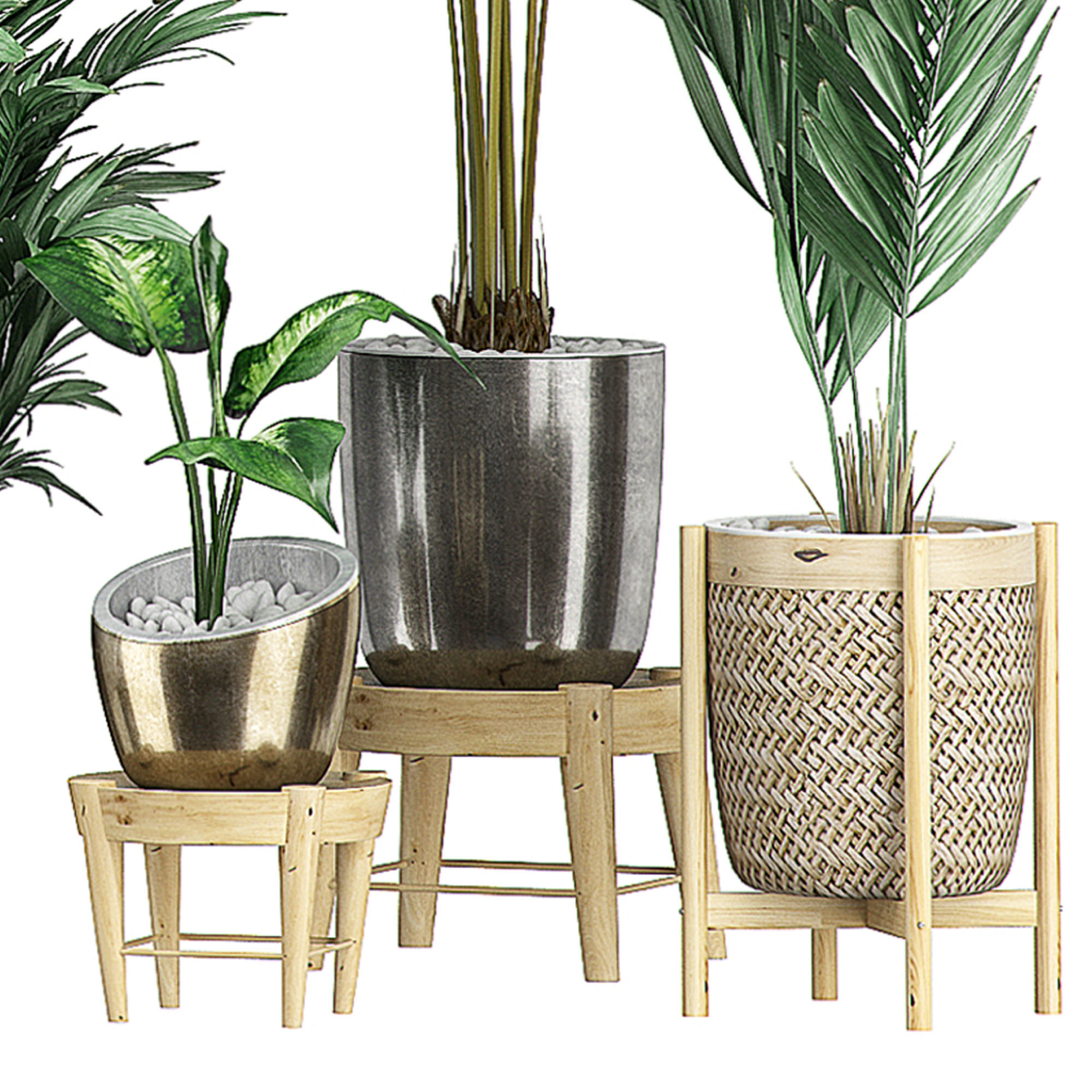 Flower Pack 106 3D model_4