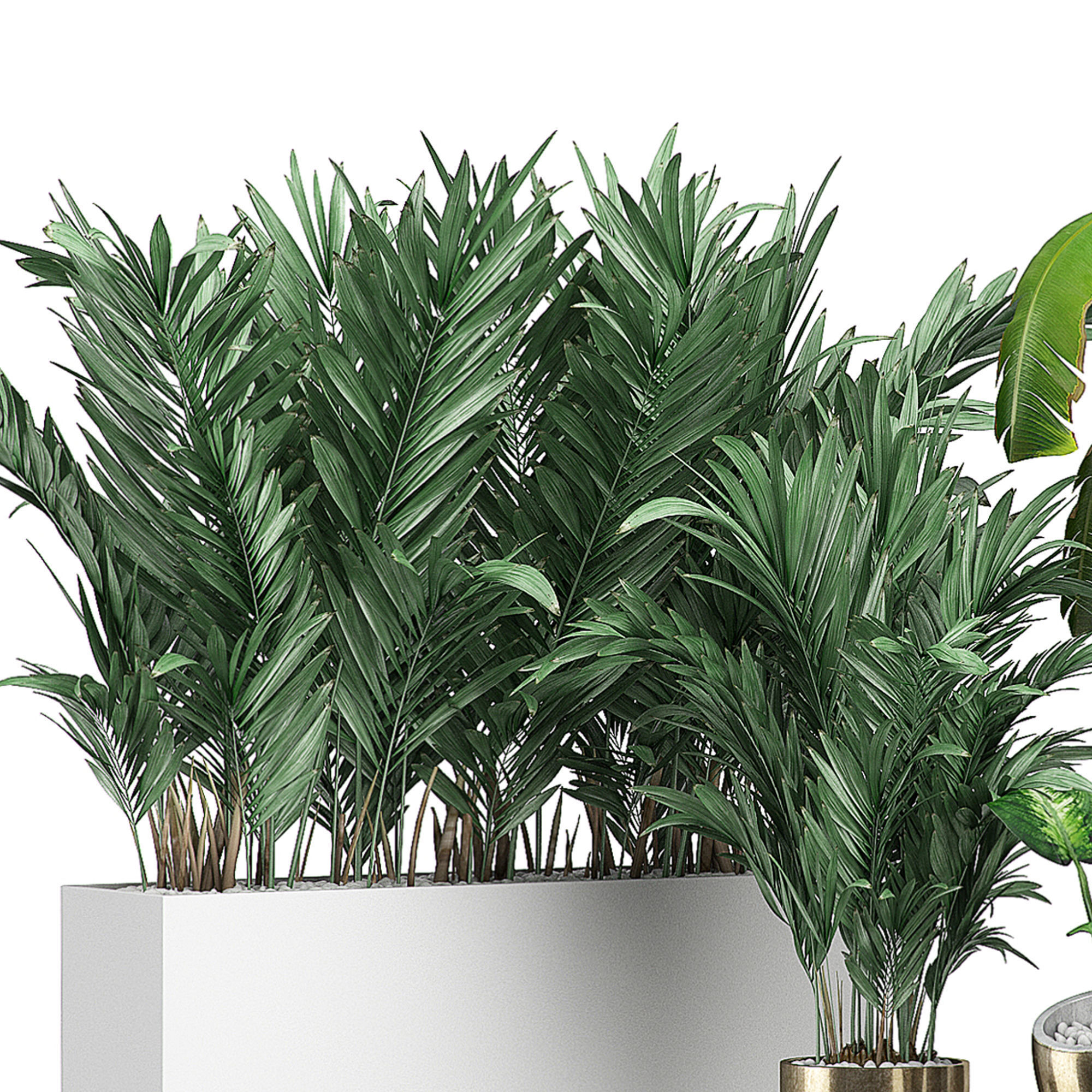 Flower Pack 106 3D model_1